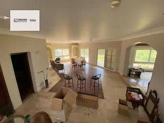 5 7bb05362-42e4-4a44-a54b-cbfc48298229. jfif. jpg