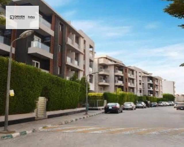 3 zayed regency (12). jpg