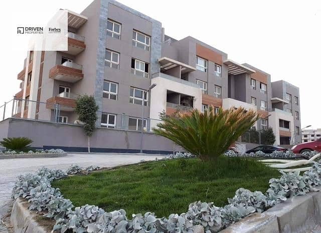 10 zayed regency (4). jpg