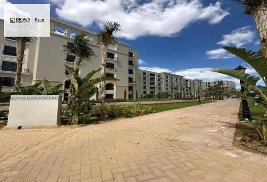 6 3313d8db-4f40-4348-931c-1573b7fcf26a. jpg