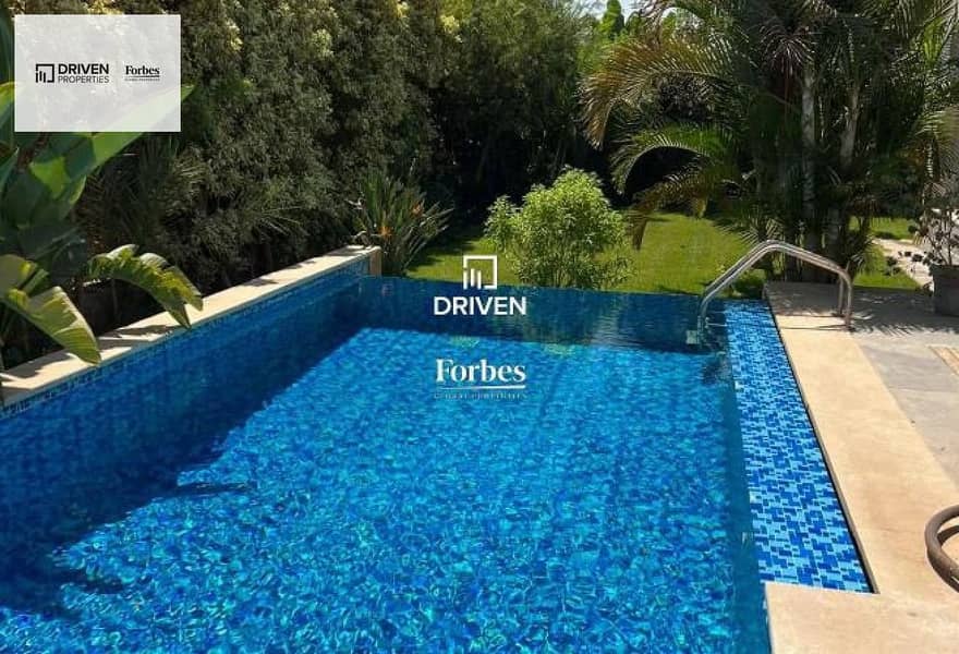 4 55473581-67ce-46ed-b2bb-e90a6c5cd95c. jpg