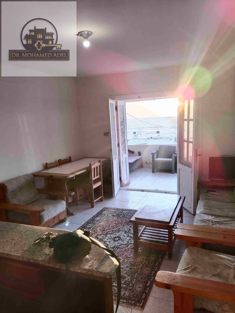 12 IMG_٢٠٢٤٠٦١٠_١٩٤٧٥٧. jpg