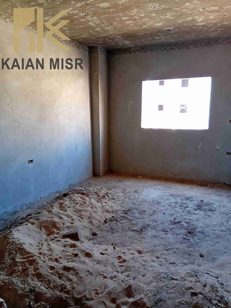 7 20250221_232629. jpg