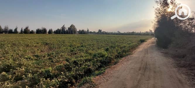 زراعي  للبيع في 6 أكتوبر، الجيزة - WhatsApp Image 2026-01-05 at 8.04. 53 AM (1). jpeg