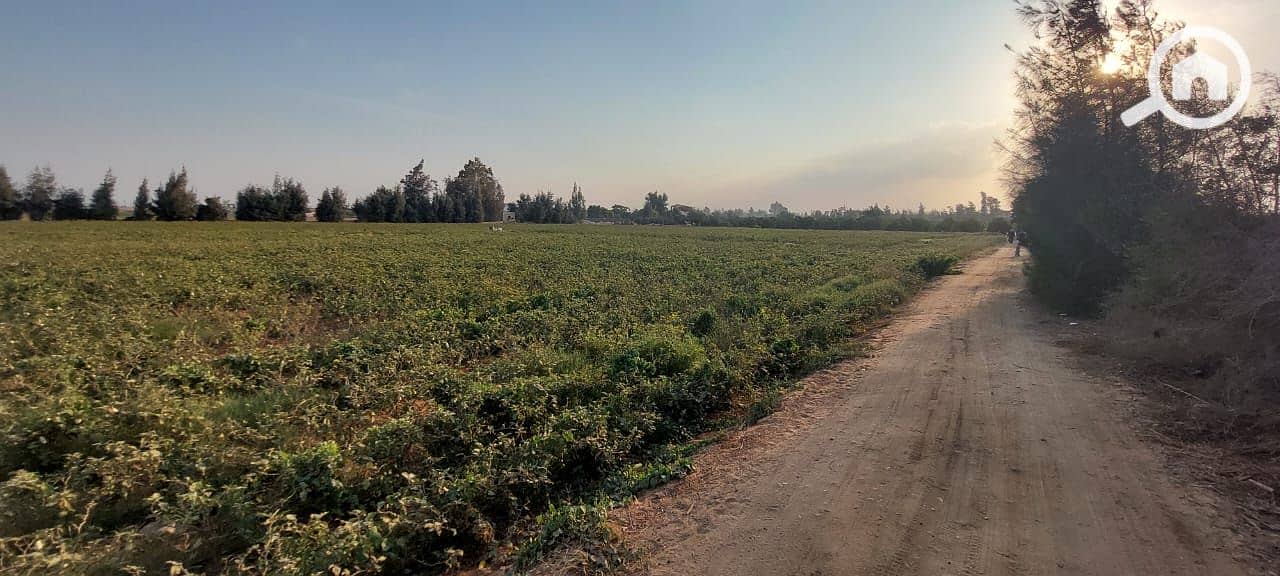 WhatsApp Image 2026-01-05 at 8.04. 53 AM (1). jpeg WhatsApp Image 2026-01-05 at 8.04. 53 AM (1). jpeg