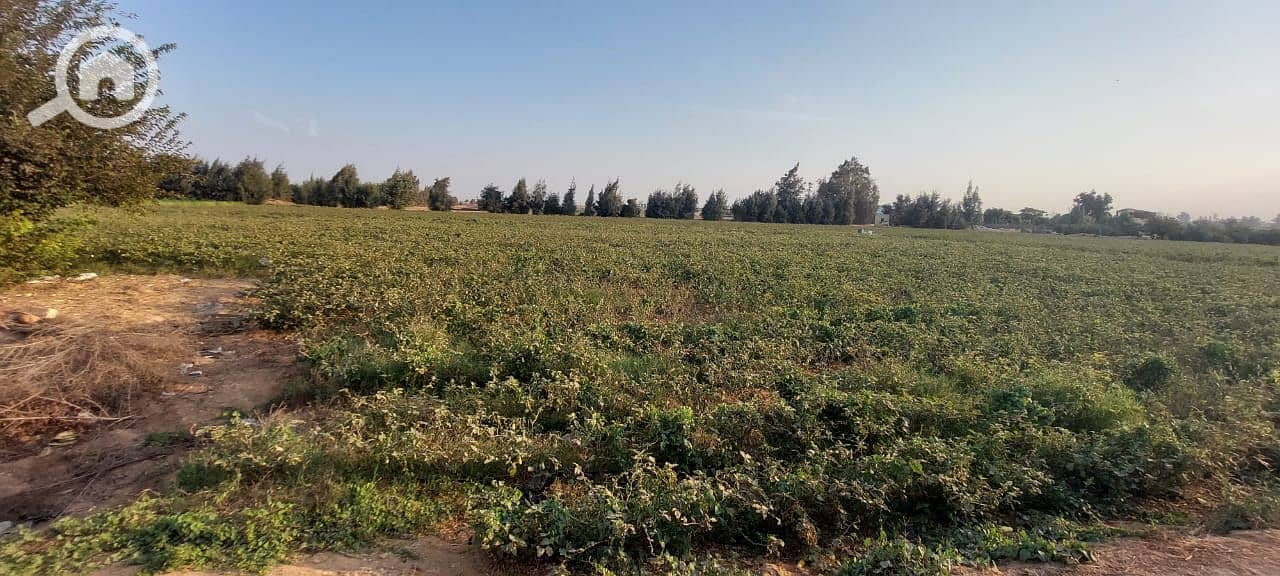 2 WhatsApp Image 2026-01-05 at 8.04. 53 AM. jpeg