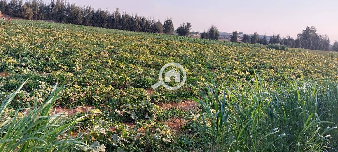 4 WhatsApp Image 2026-01-05 at 8.04. 49 AM (2). jpeg