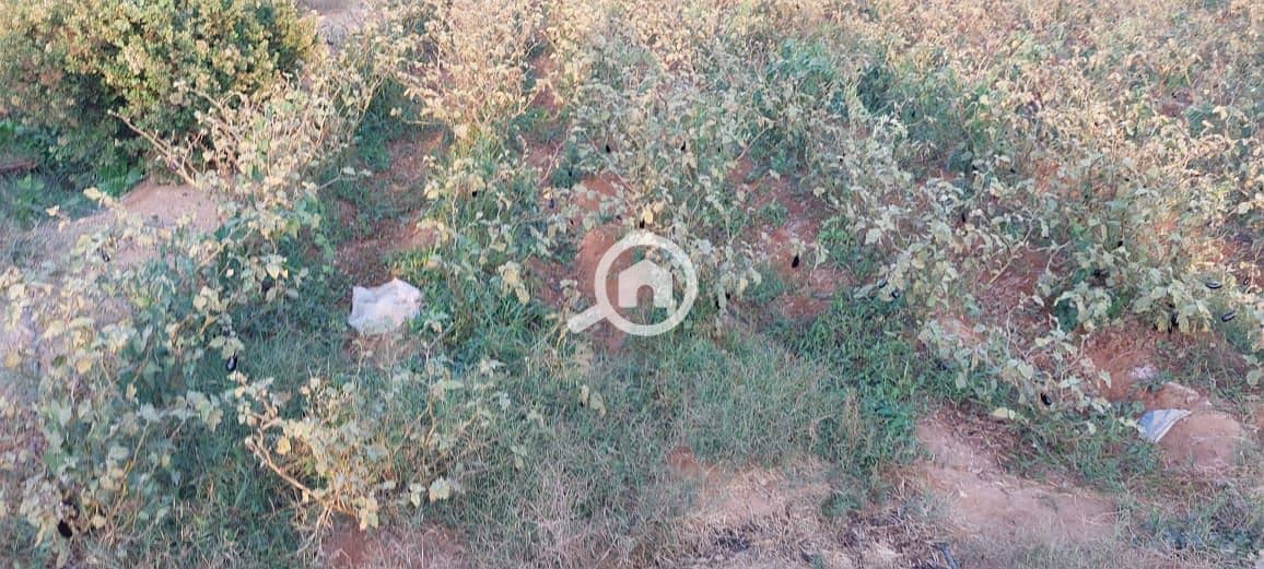 8 WhatsApp Image 2026-01-05 at 8.04. 47 AM (2). jpeg