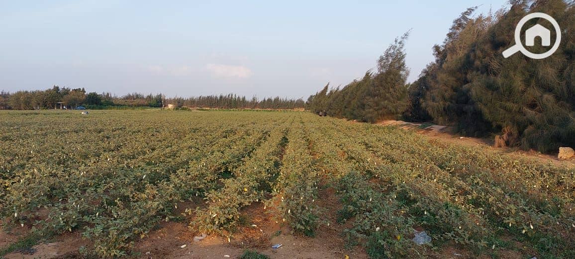 9 WhatsApp Image 2026-01-05 at 8.04. 48 AM (1). jpeg