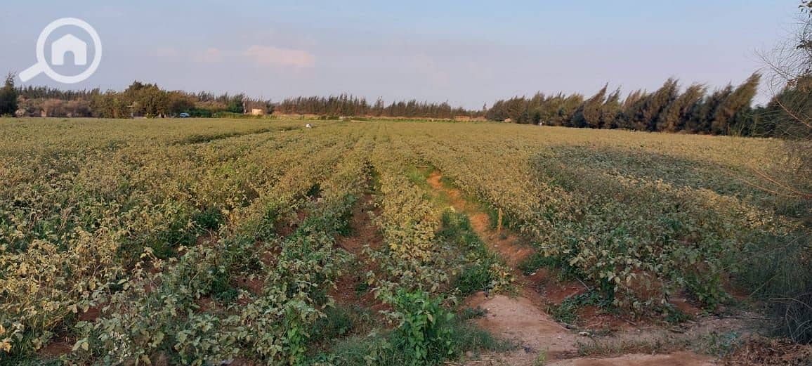 10 WhatsApp Image 2026-01-05 at 8.04. 48 AM. jpeg