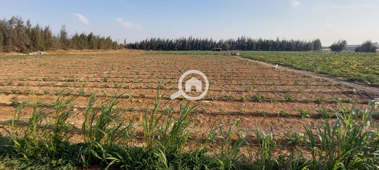 12 WhatsApp Image 2026-01-05 at 8.04. 51 AM (2). jpeg