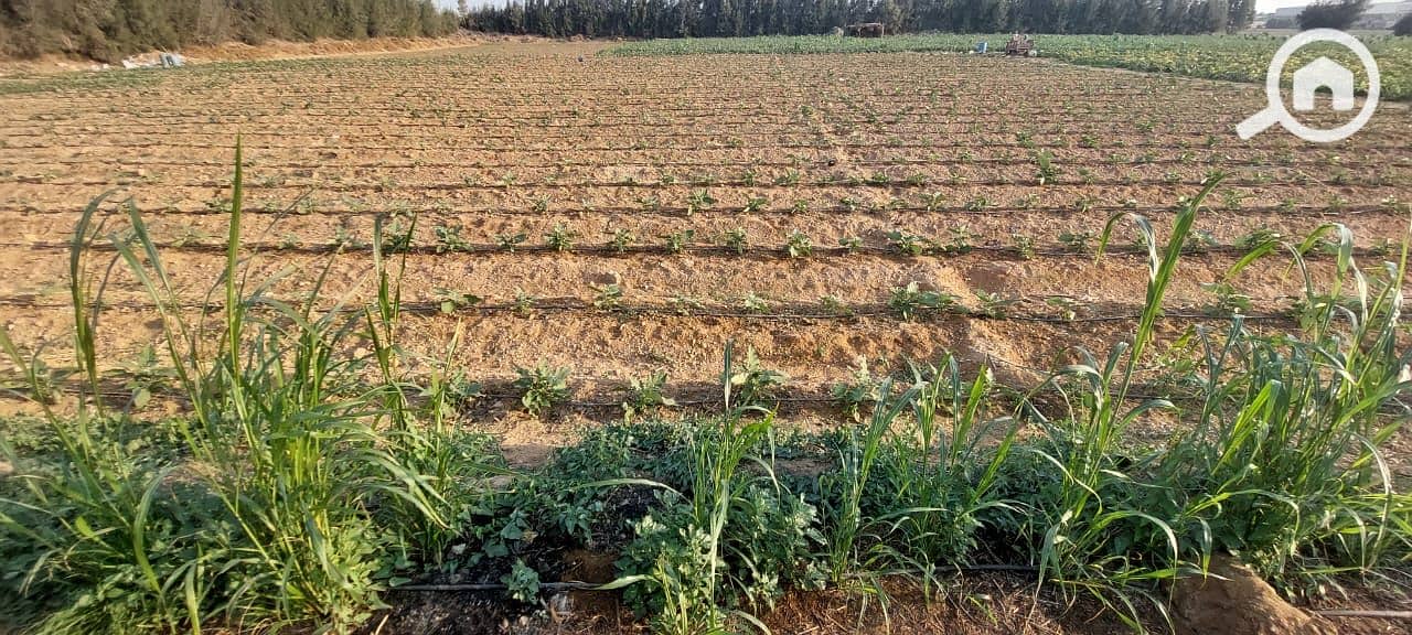 13 WhatsApp Image 2026-01-05 at 8.04. 51 AM. jpeg