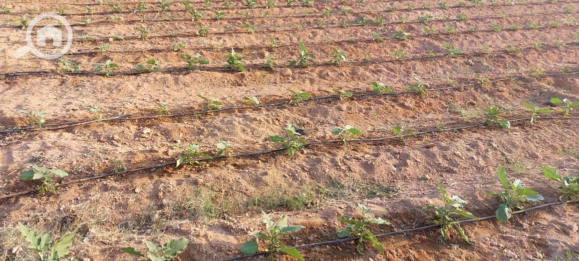 14 WhatsApp Image 2026-01-05 at 8.04. 52 AM. jpeg