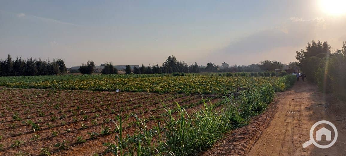 16 WhatsApp Image 2026-01-05 at 8.04. 52 AM (2). jpeg