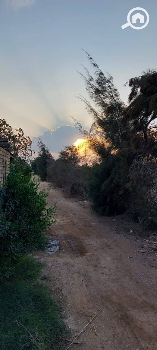 17 WhatsApp Image 2026-01-05 at 8.04. 47 AM (1). jpeg