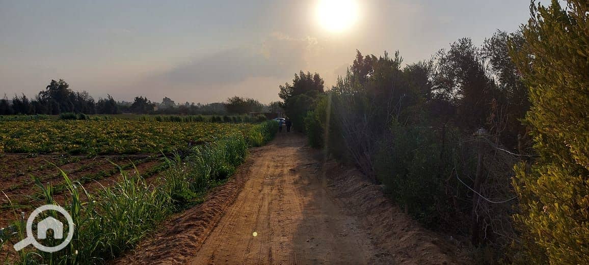 19 WhatsApp Image 2026-01-05 at 8.04. 52 AM (3). jpeg