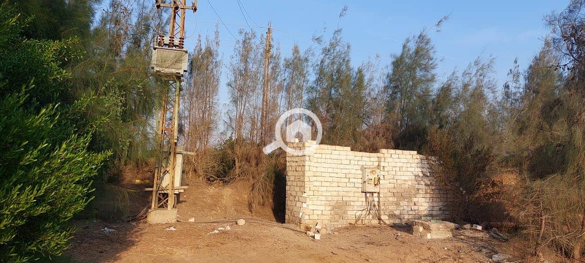 21 WhatsApp Image 2026-01-05 at 8.04. 50 AM. jpeg