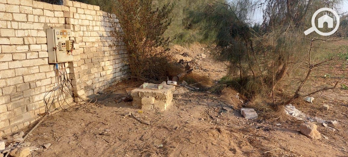 22 WhatsApp Image 2026-01-05 at 8.04. 50 AM (1). jpeg