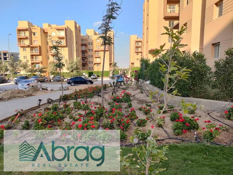 4 WhatsApp Image 2025-02-11 at 1.12. 00 PM (2). jpeg