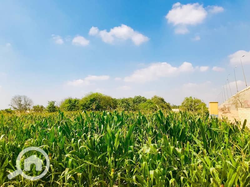 2 WhatsApp Image 2026-01-03 at 10.09. 04 PM. jpeg