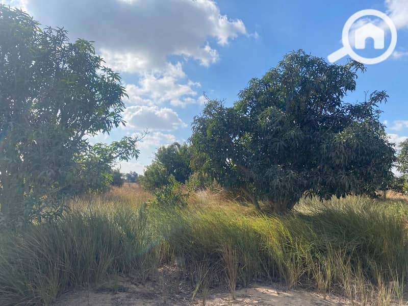 4 WhatsApp Image 2026-01-03 at 10.09. 06 PM. jpeg