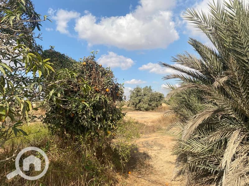 5 WhatsApp Image 2026-01-03 at 10.09. 05 PM (2). jpeg