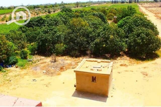 7 WhatsApp Image 2026-01-03 at 10.09. 02 PM (1). jpeg