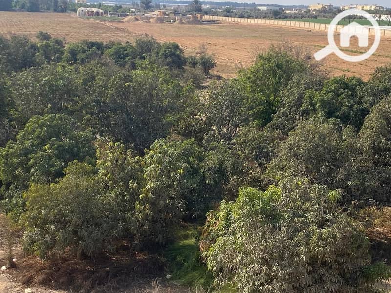 9 WhatsApp Image 2026-01-03 at 10.09. 06 PM (1). jpeg