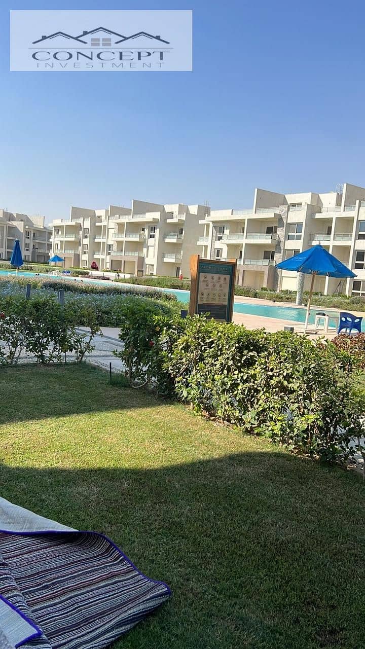 4 WhatsApp Image 2025-11-02 at 4.23. 15 PM. jpeg