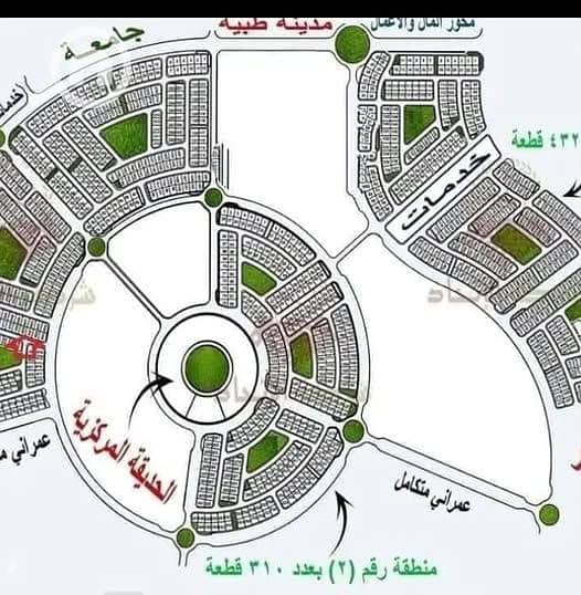 8 584447778_122275660634238693_1879374364350445147_n. jpg