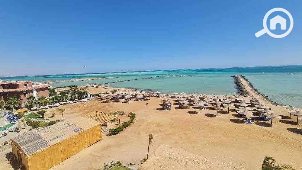 2 b77ea8e2-d2e8-4169-9a29-ab3b97e7299a. jpg