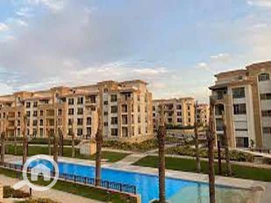 2 907a0818-784e-11ef-9ee0-ee61352a052b. jpeg