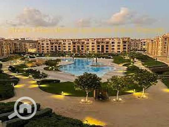 10 9079edb0-784e-11ef-971e-b2b0de415969. jpeg