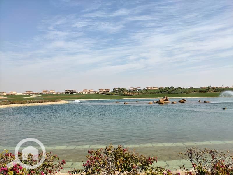 4 80ea2df3-bbce-45ba-8d47-f16426fe0270. jpg