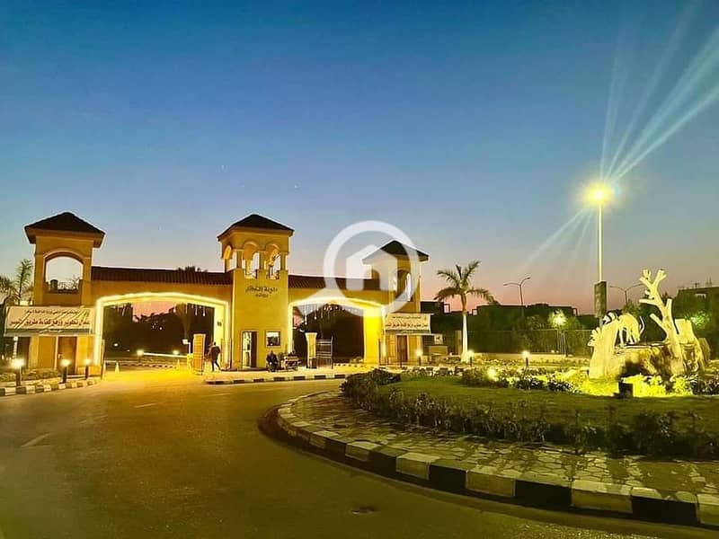 4 473023092_905114335125687_8389556598040328233_n. jpg