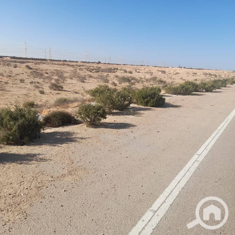 9 بلا عنوان. jpg