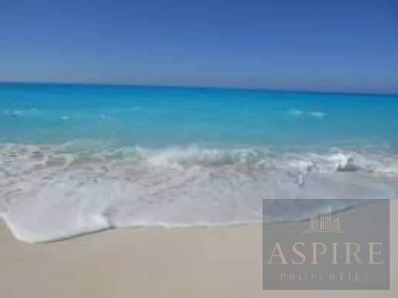 5 images (3). jfif. jpg