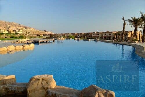 7 medium_pzC8qJJ2Ue5NP93pU1BmadHtIWn5Ay. jpg