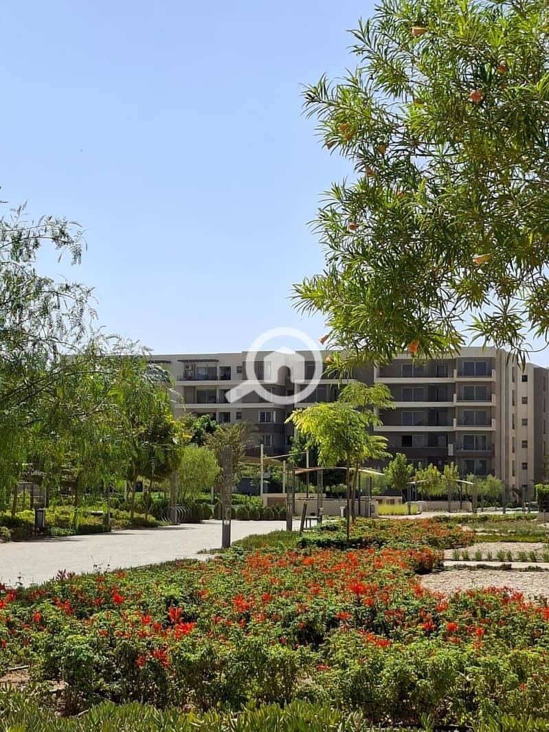 3 WhatsApp Image 2026-01-04 at 10.52. 51 PM (2). jpeg