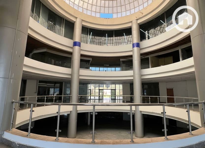 8 Generated Image September 23, 2025 - 2_06PM. png