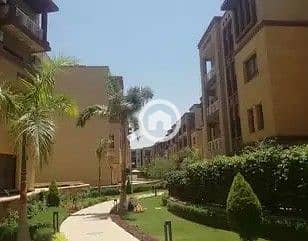 2 IMG-20251020-WA0012. jpg