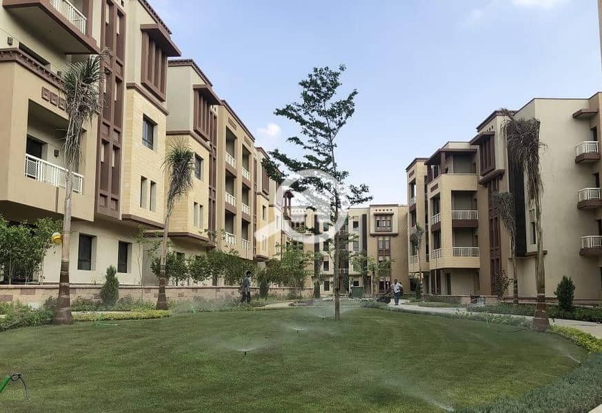 7 IMG-20251020-WA0017. jpg