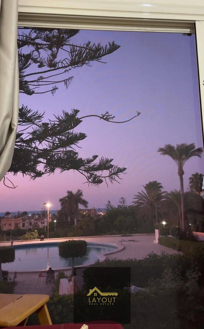 3 8949966e-a6e6-4e47-83f1-95ba5679bbda. jpg