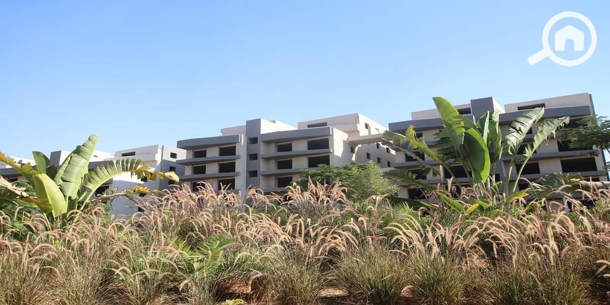 4 37b5d543-66af-4b0b-8d80-abcf28b3d24f. jpeg