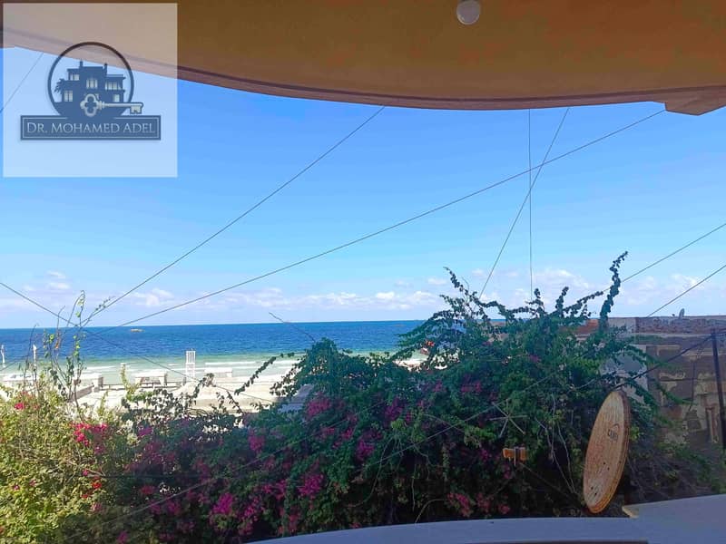 7 IMG_20250925_112417. jpg