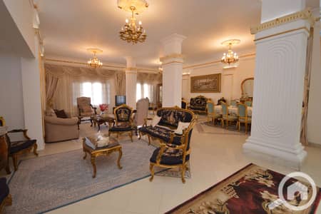 5 Bedroom Duplex for Sale in Smoha, Alexandria - 38. jpg