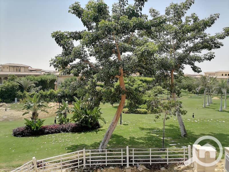 8 48c9a9f9-9e28-4d10-b366-fed7de7ed67f. jpg