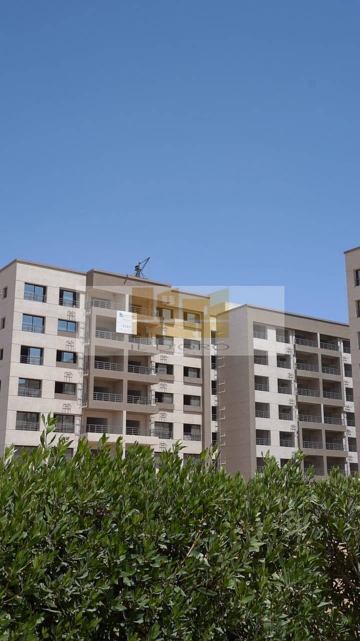 4 WhatsApp Image 2026-01-05 at 3.42. 41 PM (5). jpeg