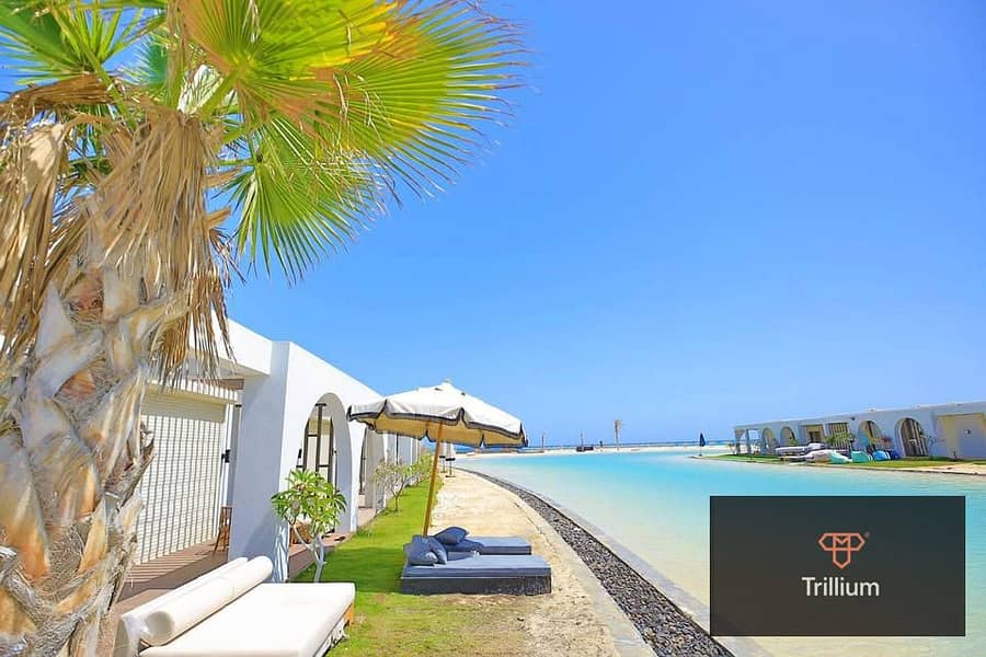 5 513825488_1242921163996662_5730279270406148189_n. jpg