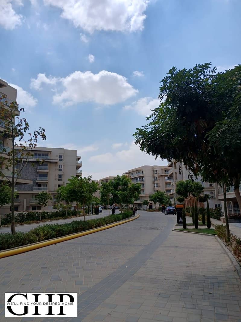 5 WhatsApp Image 2025-08-17 at 12.52. 50 PM. jpeg